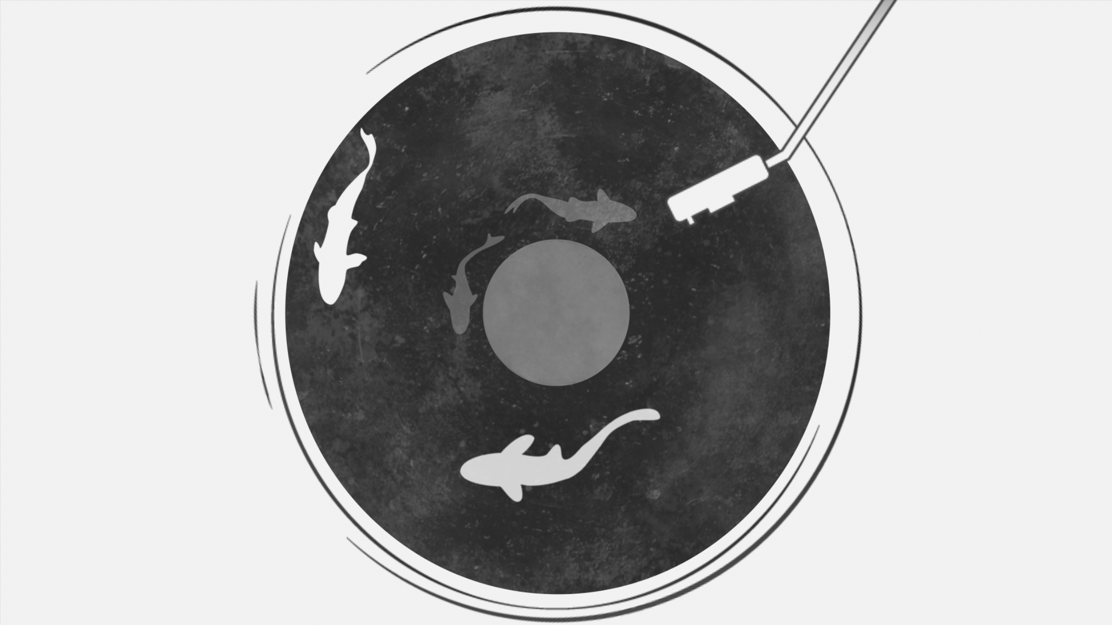 Poster animation tn greyscale
